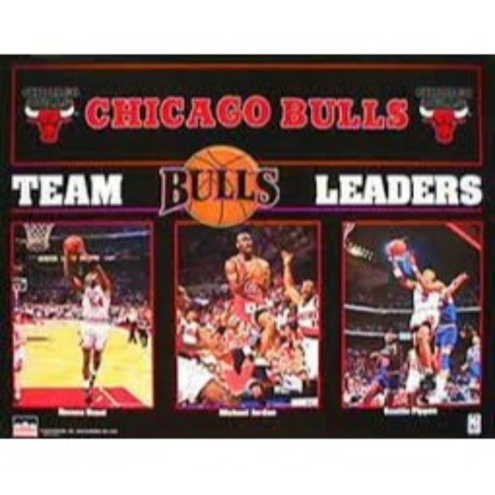 NEW! Vintage 1992-1993 Chicago Bulls Team Leaders NBA Poster